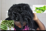 Le gombo : traitement naturel pour améliorer la santé de vos cheveux