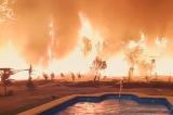 Chili : le pays touché par plus de 200 incendies dévastateurs