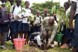 Forêt : Claude Nyamugabo et les élèves du camp Tshatshi mettent en terre plusieurs plantules d'arbres 