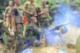 Djugu : 5 miliciens de la CODECO tués lors des combats avec les FARDC à Itendey