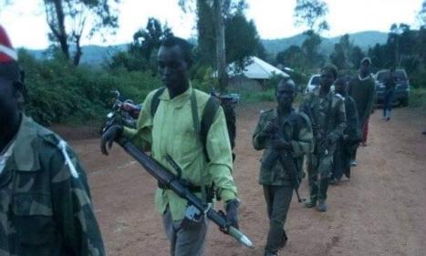 Infos congo - Actualités Congo - -Djugu: de violents combats opposent deux factions rivales de CODECO à Nyangaray