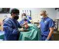 Infos congo - Actualités Congo - -États-Unis : des chirurgiens ont greffé avec succès le coeur d'un porc sur un homme