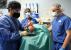 -États-Unis : des chirurgiens ont greffé avec succès le coeur d'un porc sur un homme