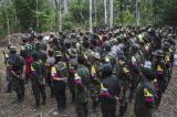 Colombie: la paix avec les FARC à portée de main