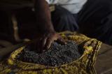Nord-Kivu : un policier tué dans l'attaque d'un dépôt de coltan dans le Masisi