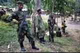 Combats FARDC-M23 : entrée en vigueur ce mardi à midi du cessez-le-feu