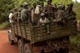 Combats FARDC-M23 : une accalmie observée à Nyiragongo
