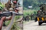 Combats FARDC-M23 : l’armée gagne du terrain sur l’axe Bweremana