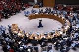 Retrait de la MONUSCO : le Conseil de sécurité encourage l’élaboration d’«un plan de désengagement complet » d’ici novembre