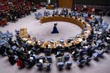 Conseil de sécurité : des sanctions internationales contre un cadre du M23 et un autre cadre des FDLR
