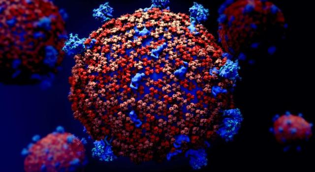 Coronavirus, le nouveau bulletin: 19 nouveaux cas positifs à la Frosinone Local Health Authority. 32 personnes sorties de surveillance à domicile. Un homme de 71 ans de Frosinone est décédé de maladies préexistantes Coronavirus, le nouveau bulletin: 19 nouveaux cas positifs à la Frosinone Local Health Authority. 32 personnes sorties de surveillance à domicile. Un homme de 71 ans de Frosinone est décédé de maladies préexistantes
