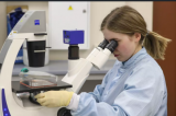 Coronavirus : On cherche une immunité dans le plasma de patients guéris