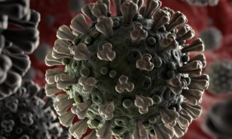 Infos congo - Actualités Congo - -Covid-19 et Sras : deux épidémies provoquées par des coronavirus émergents