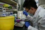 Covid-19: l’agence chinoise du médicament approuve un cocktail d’anticorps neutralisants