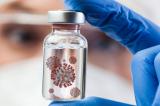Un Néerlandais soupçonné de vendre le coronavirus en flapules pour s'éviter la vaccination
