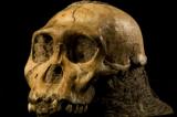 L'Homo sapiens présent dans le sud tunisien il y a près de 100.000 ans