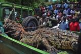 Deux crocodiles abattus à Bilila au lac Tanganyika pour avoir happé trois personnes