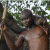 Infos congo - Actualités Congo - -Légendes vivaces mais temps difficiles pour les pêcheurs de crocodiles en RDC