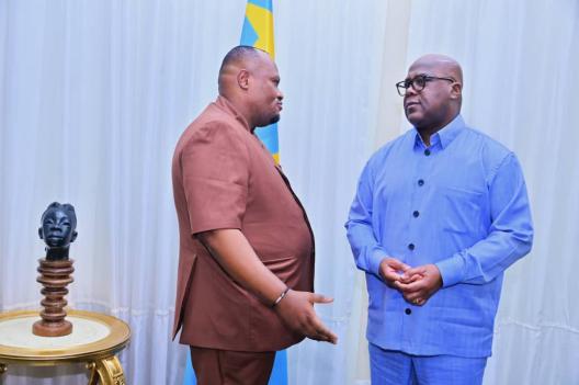 Salubrité à Kinshasa : Bumba chez Tshisekedi !