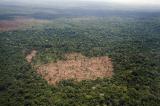 A cause de la déforestation, les forêts libèrent plus de CO2 qu’elles n’en capturent