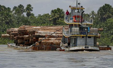 Infos congo - Actualités Congo - -Selon des experts de l’ONU, les pandémies comme le Covid-19 vont se multiplier