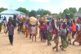 Dans le centre du Mozambique en guerre, les civils quittent la forêt pour des camps de déplacés 