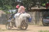 RN17 : Les rebelles Mobondo imposent leur loi sur l’axe Mongata-Bandundu
