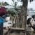 Infos congo - Actualités Congo - -Beni : 10 civils tués lors d'une attaque des rebelles ADF