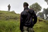 La RDC devrait plutôt engager une guerre économique avec le Rwanda, estime Dr Jo Sekimonyo