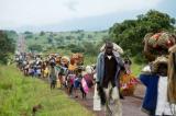 Guerre à l’Est de la RDC : plus de 700 000 personnes déplacées depuis le début de l’année 2022 (ONU)