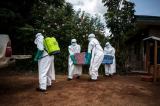 Ebola : le seuil des 500 morts dépassé !