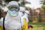 Ebola: chronique d'une année de fièvres