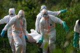 Ebola-Équateur : un nouveau cas confirmé à Bikoro dans l’Aire de Santé de Mooto