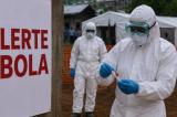 Ebola en RDC : trois vaccins en préparation contre le nouveau variant Bundibugyo