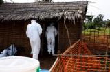 Nord-Kivu : un nouveau cas probable de maladie à virus Ebola en cours de validation à Masereka 