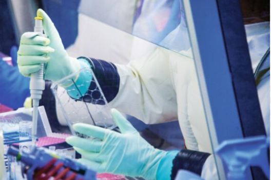 Ebola : des chercheurs britanniques développent un vaccin contre la souche Bundibugyo