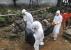 -Ebola à Mbandaka : un mois après, 5 cas (tous décédés) et 1.073 personnes vaccinées