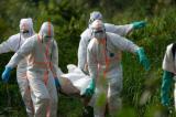 De nouvelles victimes se plaignent d’abus sexuels durant la crise du virus Ebola en RDC