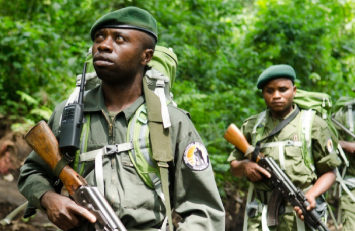Info Congo - Actualité Congo -  - -Parc des Virunga : des éco-gardes abandonnent leur poste de Rwindi suite aux menaces du M23