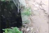 Kwilu : écroulement du pont jeté sur la rivière Kitembo, une menace pour l'économie du territoire de Gungu (Société civile)