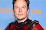 Elon Musk déclare la guerre à Apple