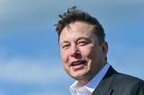 Elon Musk offre 100 millions de dollars à celui qui créera la meilleure technologie de capture du carbone