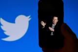 Premier projet controversé de Musk pour Twitter, faire payer les utilisateurs pour être certifiés