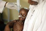 Nigeria : des milliers d'enfants pourraient décéder de malnutrition d'ici un an, selon l'ONU.