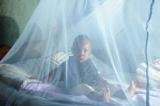 Kwango : 27 décès dus au paludisme en 2 mois