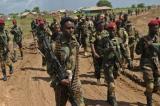 Ethiopie : les forces loyalistes gagnent du terrain au Tigré