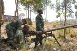 Beni: L’armée confirme le lancement des opérations de neutralisation des ADF