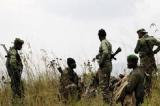 Beni: l'armée affirme avoir tué une vingtaine de miliciens dans des offensives