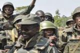 Beni : le grand bastion ADF de Madina sous contrôle des FARDC