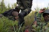 les FARDC ont-elles fourni armes et munitions à des groupes armés contre le M23 ?